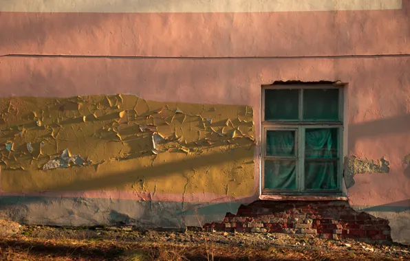 Wall, paint, window