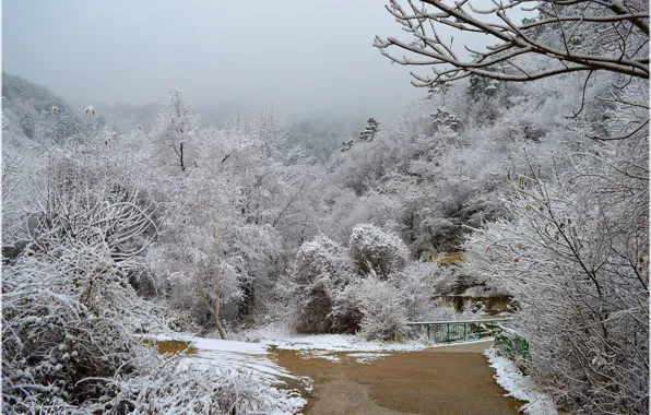 Winter, Snow, Park, Winter, Park, Snow