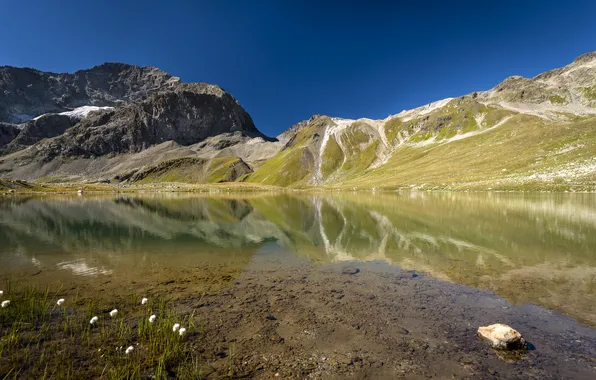 Water, flowers, mountains, lake, surface, reflection, stones, hills
