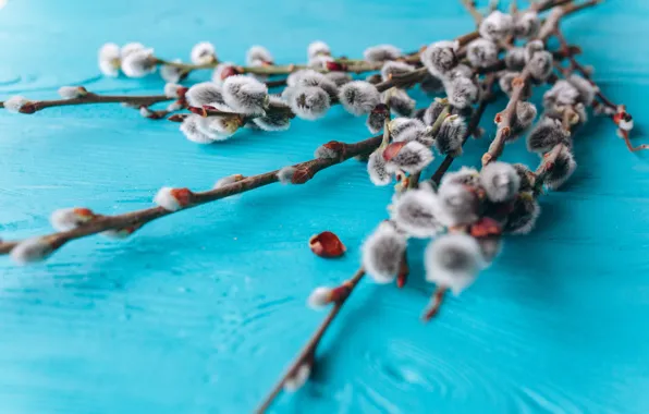 Spring, Bouquet, buds, spring, twigs, ribbon, Bouquet, willow