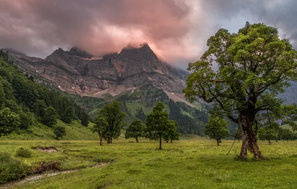 Greens, field, forest, summer, clouds, trees, mountains, overcast
