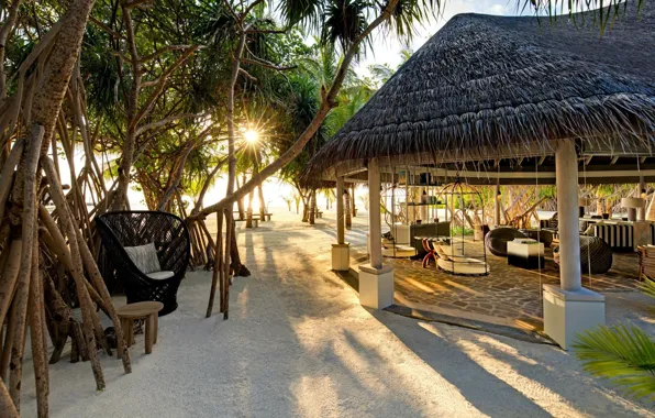 Palm trees, The Maldives, resort, Bungalow, Lounge, Kanuhura, area, reception