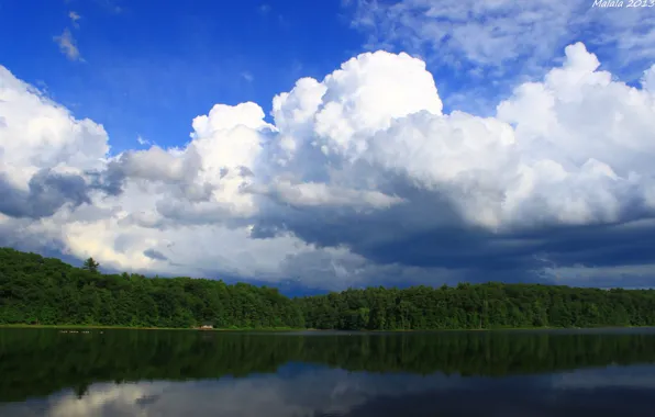 The sky, water, clouds, trees, landscape, nature, reflection