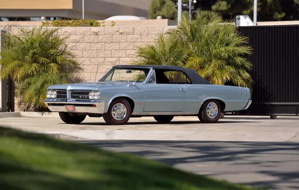 Convertible, Pontiac, GTO, Pontiac, 1964, retro cars, Convertible, LeMans