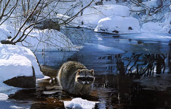 Winter, forest, look, snow, branches, nature, reflection, shore