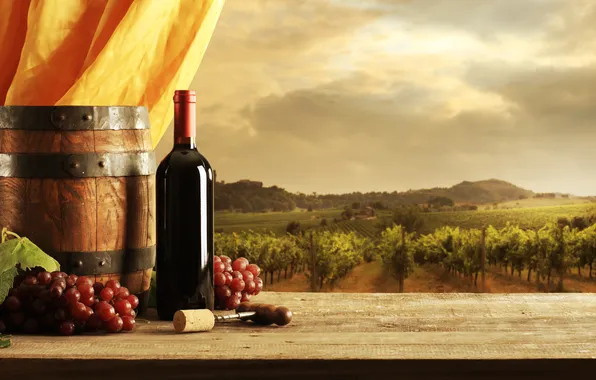 Picture wine, red, bottle, grapes, vineyard, curtain, corkscrew, barrel