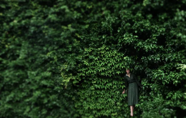 Picture girl, foliage, dress