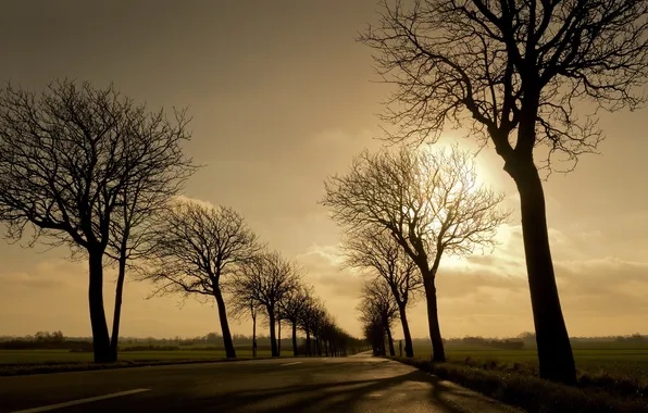 Road, landscape, sunset