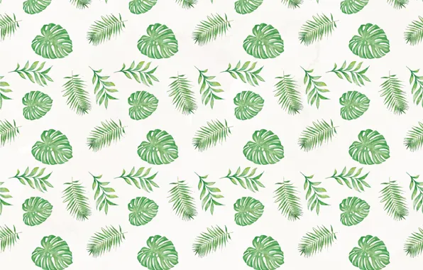 Green, texture, background, pattern, leaves