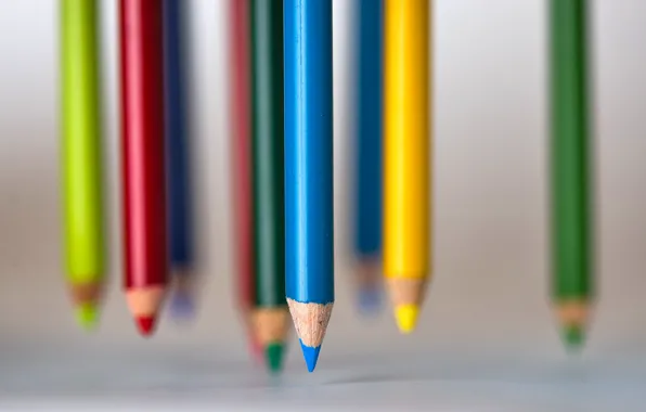 Color, pencils, form