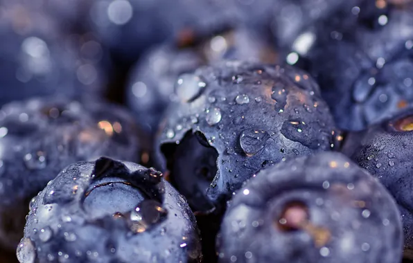 Drops, macro, berries, blueberries, bokeh