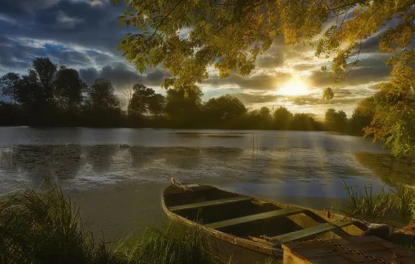 Autumn, the sky, grass, the sun, clouds, rays, light, trees