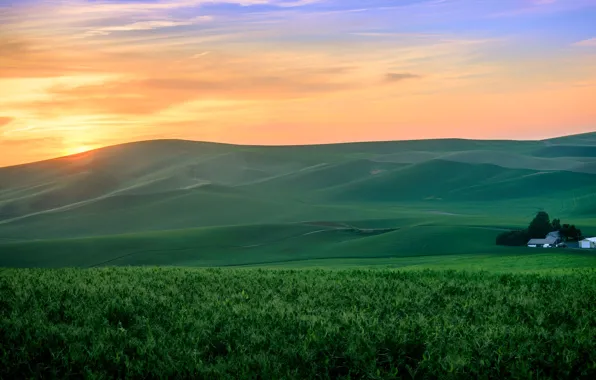 Field, grass, sunset, green, hills, home, farm, orange sky