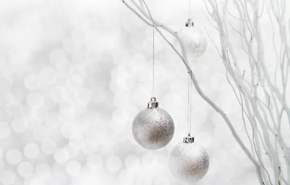 Picture winter, balls, branches, toys, New Year, Christmas, decoration, the scenery