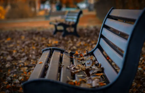 Autumn, Park, bench