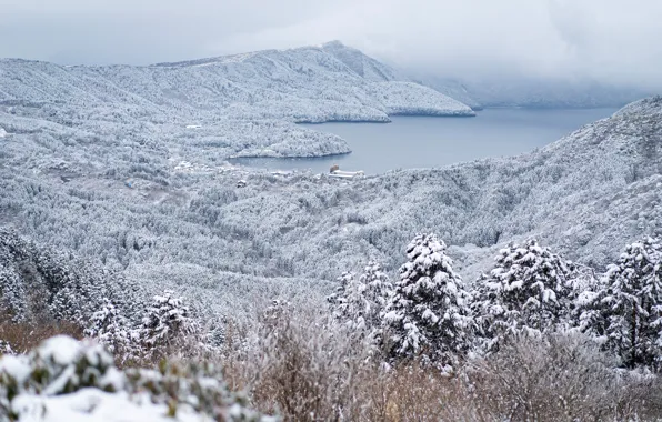 Winter, forest, trees, mountains, lake, Japan, Japan, Hakone