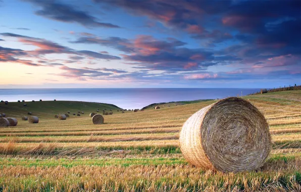 Picture sea, field, summer, the sky, clouds, blue, Italy, calm