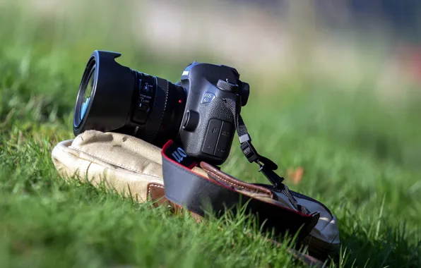 Macro, background, camera