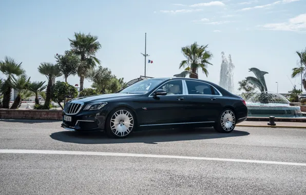 Road, car, machine, the sky, palm trees, Mercedes-Benz, Mercedes, fountain