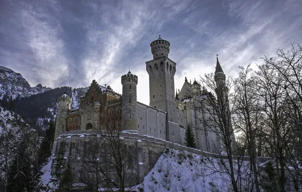 Winter, trees, mountains, Germany, Bayern, Germany, Bavaria, Neuschwanstein Castle