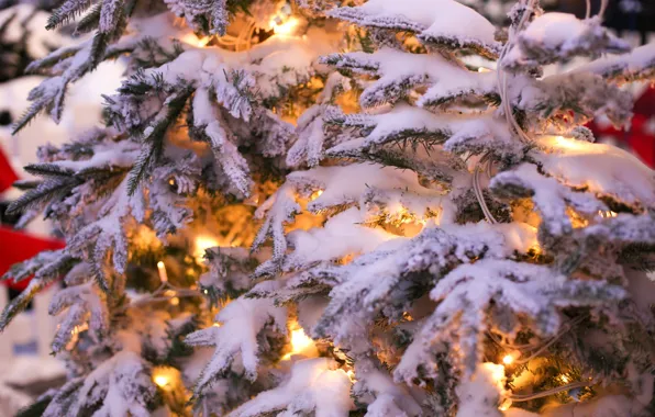 Picture winter, snow, branches, lights, new year, Christmas, garland, herringbone