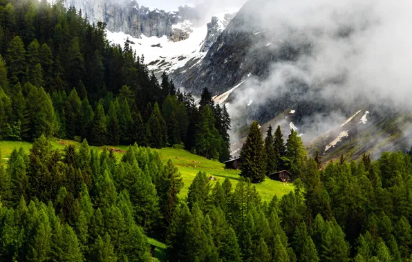 Nature, Mountains, Switzerland, Forest, Alps