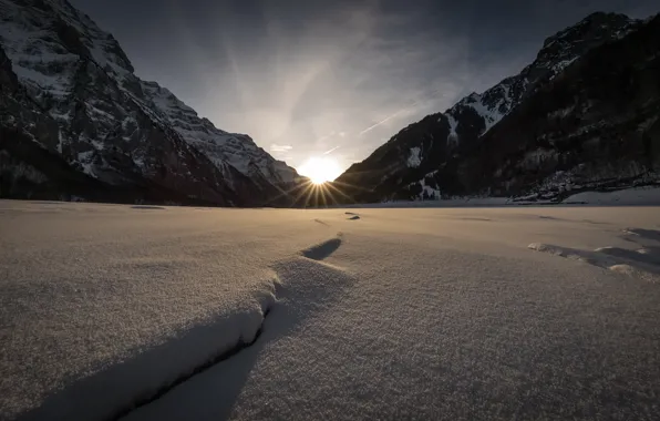 Winter, snow, morning