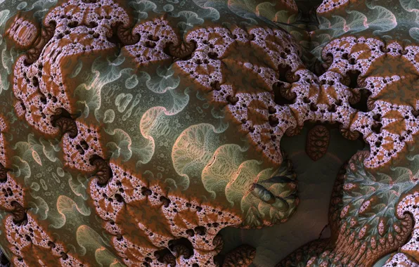 Macro, surface, pattern