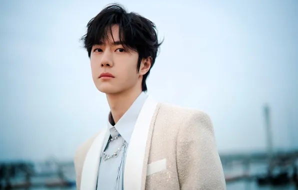 Face, costume, tie, China, actor, jacket, Wang Yibo, Van Ibo