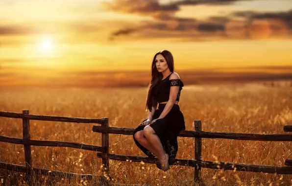 The sun, the fence, legs, sponge, Alessandro Di Cicco, Sunset Fields