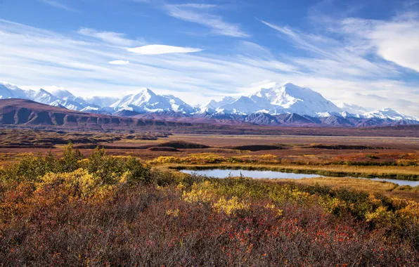 Alaska, mount McKinley, Denali national Park