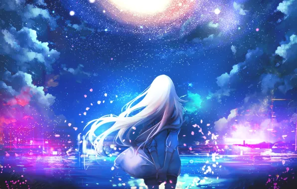 Picture the sky, girl, stars, hair, back, anime, petals, art