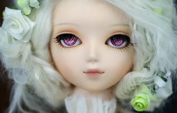 Picture look, toy, roses, doll, blonde