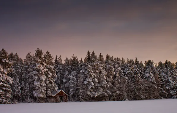 Winter, forest, the sky, snow, trees, landscape, nature, house