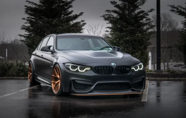 BMW, Evening, Gray, F80, Sight