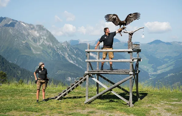 Picture woman, beautiful, man, eagle, Falconry