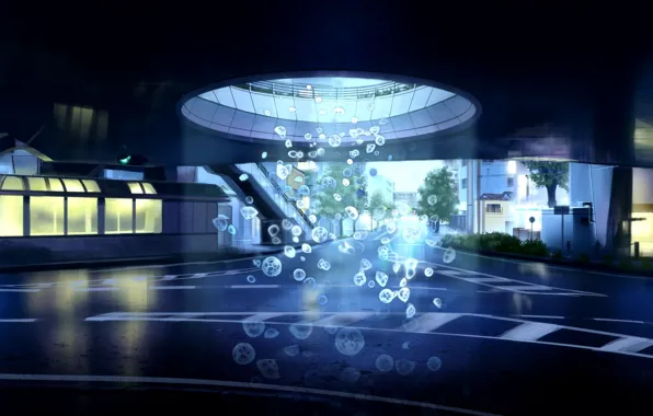 Road, the city, train, jellyfish