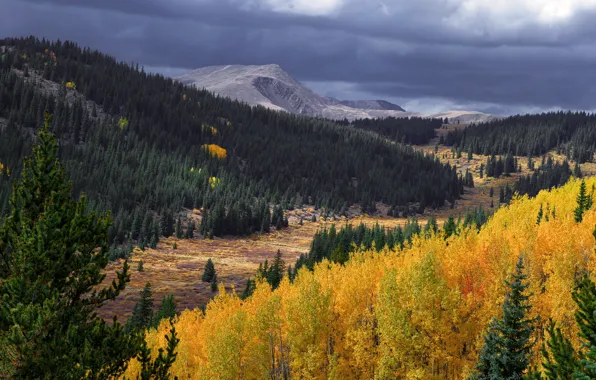 Autumn, forest, the sky, mountains, clouds, the slopes, yellow, ate
