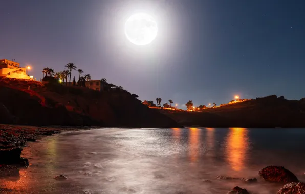 The sky, night, lights, stones, palm trees, rocks, the moon, shore