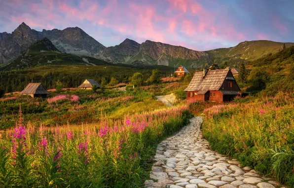 Field, summer, clouds, flowers, mountains, stones, the slopes, beauty