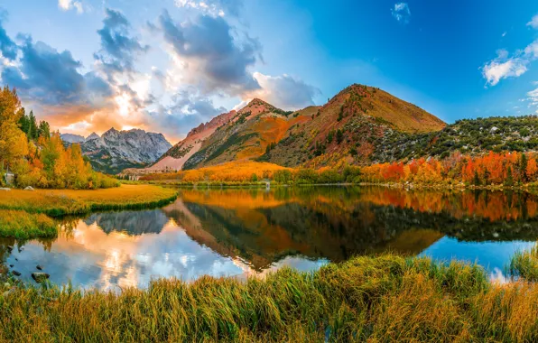 Autumn, forest, the sky, grass, clouds, trees, landscape, mountains