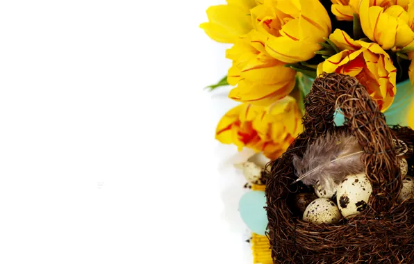 Picture photo, Flowers, Eggs, Basket, Holiday, Different