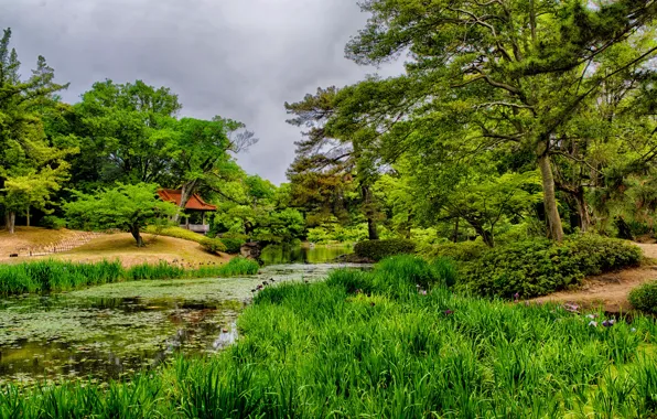 Greens, grass, trees, pond, Japan, garden, gazebo, Takamatsu