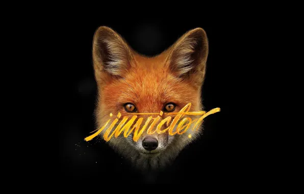 Fox, Art, Black, Wallpaper, Minimalism, Wild Lettering, Alvaro Chan