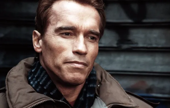 Picture man, actor, Arnold Schwarzenegger, arnold schwarzenegger