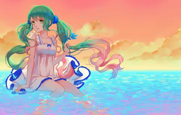 Flower, the sky, water, girl, clouds, sunset, smile, anime