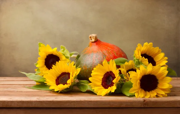 Flowers, sunflower, pumpkin