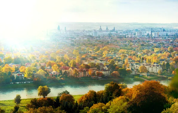 Autumn, the sun, light, trees, the city, river, home, Germany