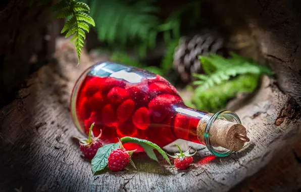 Picture macro, raspberry, bottle, Shaiith, liquor