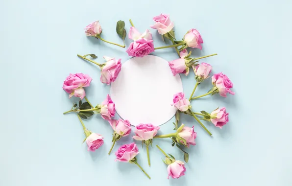 Flowers, background, roses, buds, pink, flowers, roses